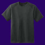 Dry Zone™ Short Sleeve Raglan T Shirt